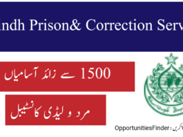 Inspectorate General Sindh Prisons & Correction Service Jobs