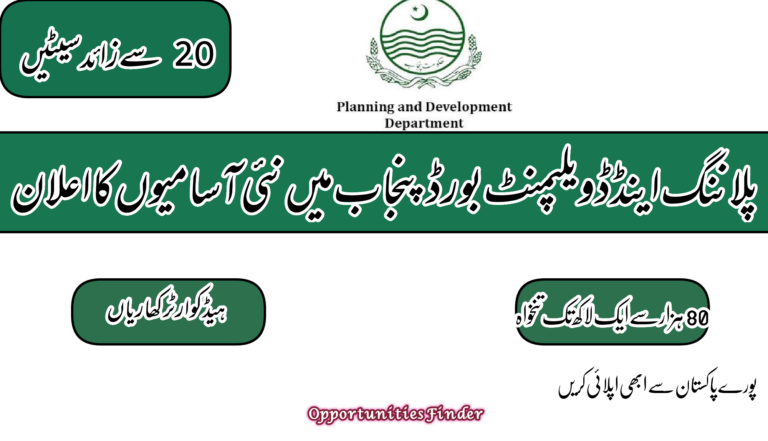 Government of the Punjab Planning and Development Board Jobs 2022