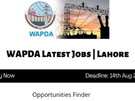 WAPDA Latest Jobs Lahore