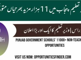 11000+ Non-Teaching Staff Opportunities in Educators Department