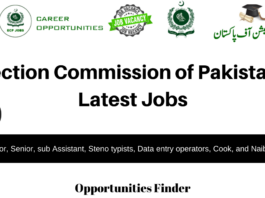 Election Commission of Pakistan Latest Jobs 2022 ECP Jobs 2022