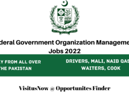 Federal Government Organization Management Jobs 2022