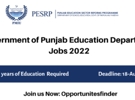 Government of Punjab Education Department Jobs 2022