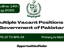 Multiple Vacant Positions in Government of Pakistan