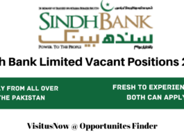 Sindh Bank Limited Vacant Positions 2022