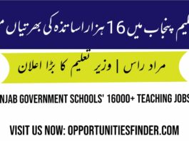 Upcoming 16000+ Educators teaching Jobs 2022