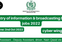Ministry of information & broadcasting latest jobs 2022|cyber wing vacancies