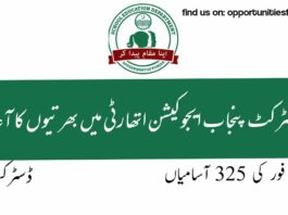 District Education Authority Jobs 2022 Class 4 (BPS-4 to BPS-1) Multan district