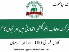 District Sialkot Education Authority Jobs DEA Sialkot Jobs 2022