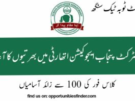 District Toba Tek singh Education Authority Jobs DEA Jobs 2022