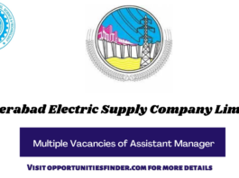 Hyderabad Electric Supply Company Limited