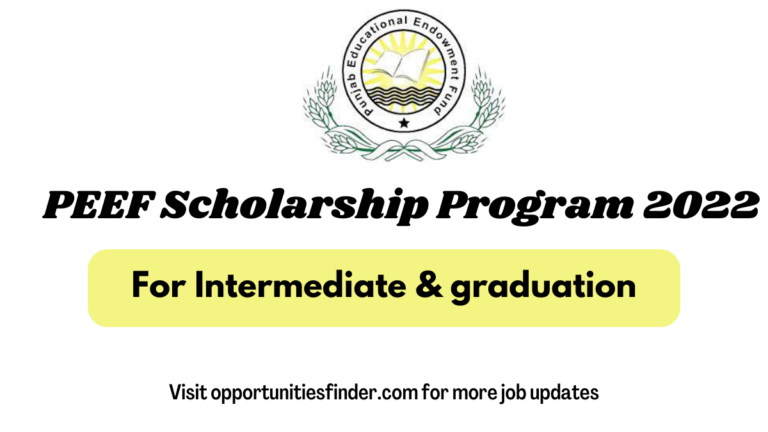 PEEF Scholarship Program 2022| AJK Students