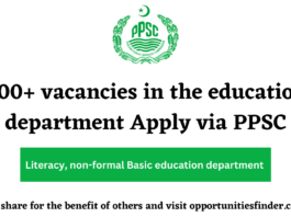 200+ vacancies in the education department Apply via PPSC