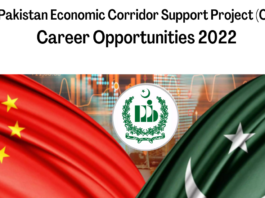  China Pakistan Economic Corridor Support Project (CPECSP)  Career Opportunities 2022