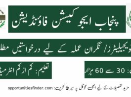 Punjab Education Foundation Invigilators Opportunities 2022