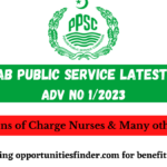 Punjab Public Service Latest Jobs Adv no 1/2023