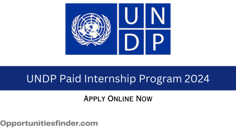 UNDP Internship Program 2024