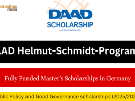 DAAD Scholarship Program 2024