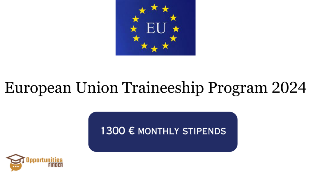 European Union Traineeship Program 2024
