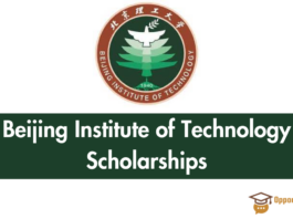 Beijing Institute of Technology Scholarships