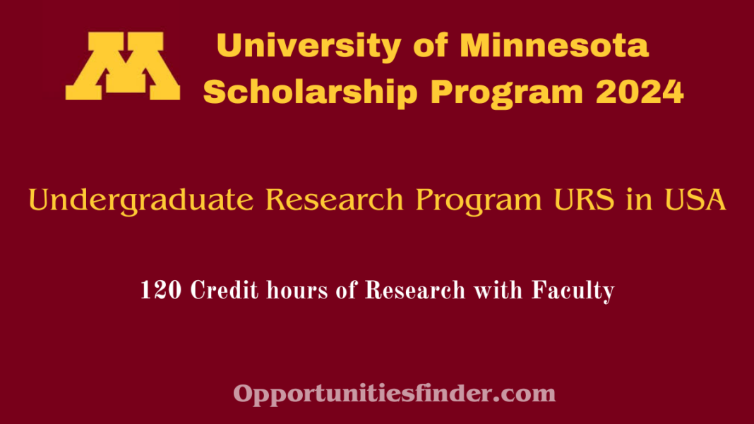 University of Minnesota Undergraduate Scholarship Program 2024