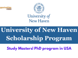 University of New Haven Scholarship Program