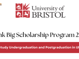 Think Big Scholarship Program 2024