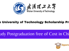 Wuhan University of Technology Scholarship Program