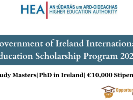 Government of Ireland International Scholarship Program 2024