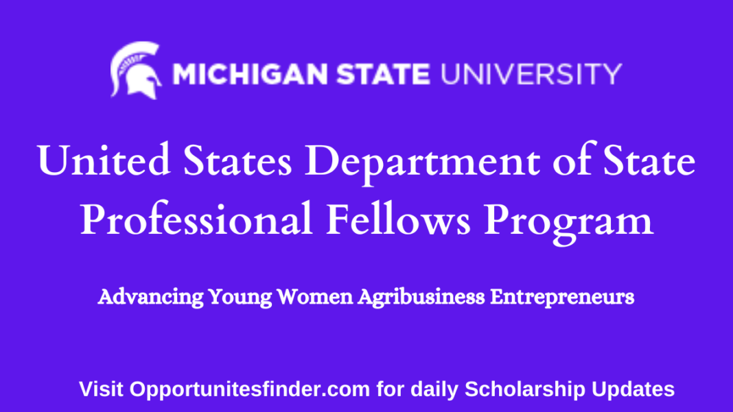 United States Department of State Professional Fellows Program