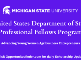 United States Department of State Professional Fellows Program