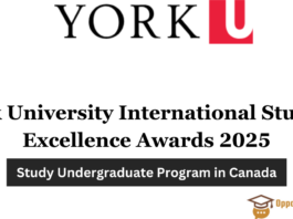 York University International Student Excellence Awards