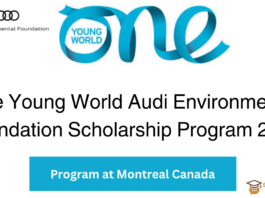 One Young World Audi Environmental Foundation Scholarship Program 2024