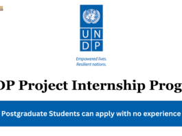 UNDP Project Internship Program