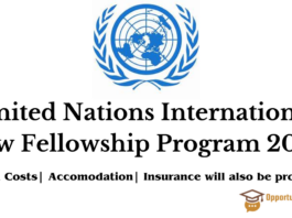 United Nations International Law Fellowship Program 2024