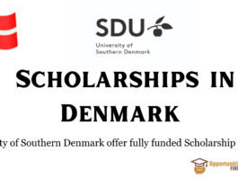 University of Southern Denmark Scholarship Program