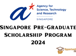 Singapore Pre-Graduate Scholarship Program 2024