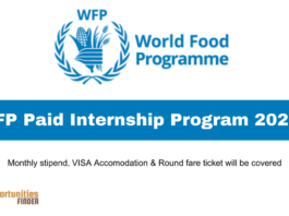 WFP Paid Internship Program